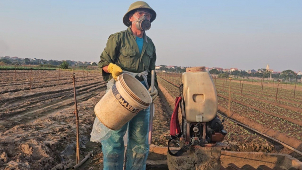 Cuộc chiến chống thuốc bảo vệ thực vật độc hại: [Bài 3] Thuốc giả, thuốc nhái biết cấm vẫn dùng