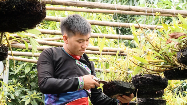 Biến di sản thành tài sản