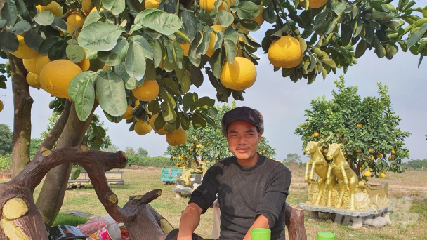 Anh nông dân đưa cả vườn cổ tích vào bưởi tết