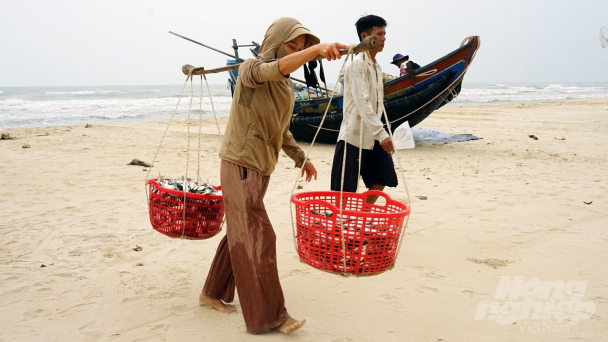 Giữa mùa biển động
