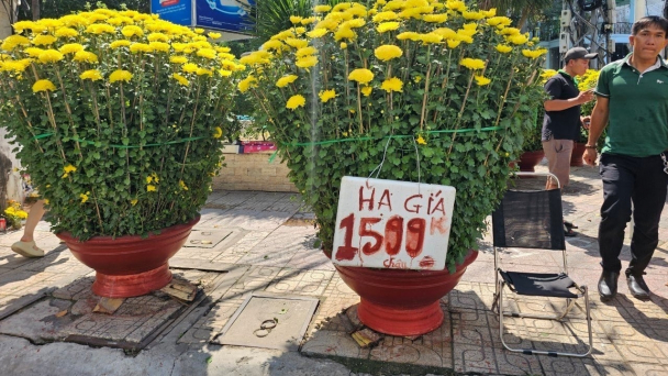 Chiều 30 Tết, tiểu thương xả hàng hoa