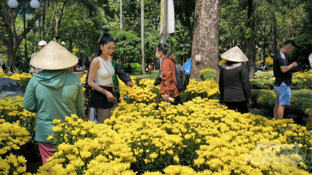 Không còn cảnh đập hoa chiều 30 Tết
