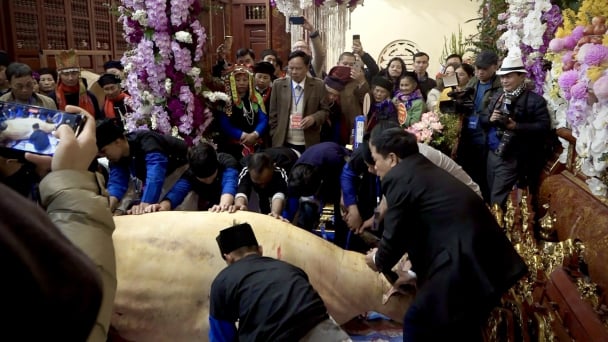 Nghi lễ tế trâu trắng trong lễ hội đền Đông Cuông