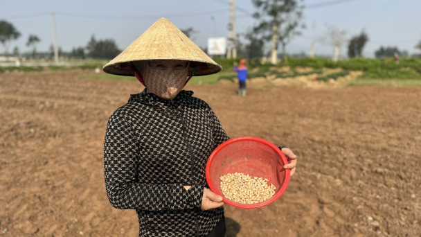 Kỳ vọng vụ lạc xuân