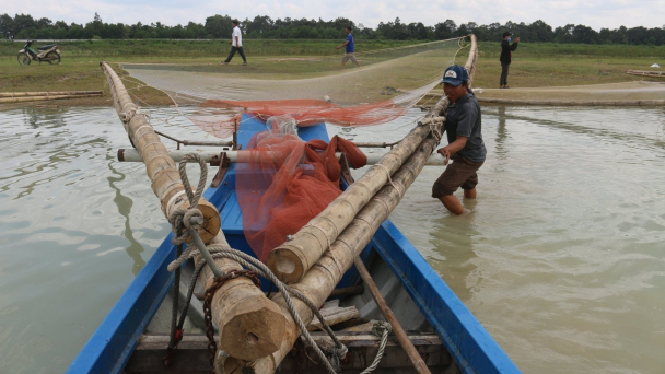 Vấn nạn tận diệt thủy sản: [Bài 2] Chấn chỉnh thế nào?