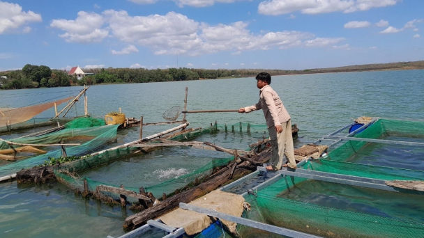 Vấn nạn tận diệt thủy sản: [Bài 3] Phát huy sức mạnh tổ cộng đồng