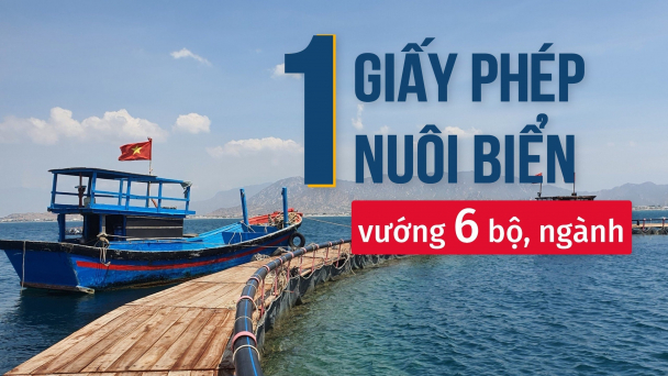 [Bài 5] Chủ tịch tỉnh Ninh Thuận và Quảng Ninh kiến nghị giải pháp gỡ khó