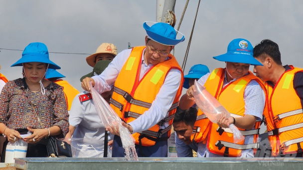 Đưa 2 triệu tôm sú giống về với biển