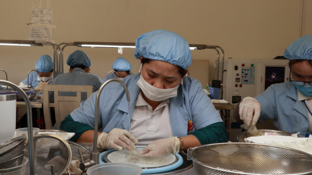 Nghề đón 'lộc trời': [Bài 1] 10 năm chinh phục chim yến