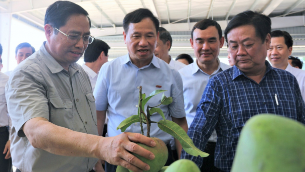 Doveco - Lá cờ đầu trong lĩnh vực chế biến nông sản
