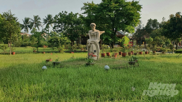 Cỏ xanh Thành cổ
