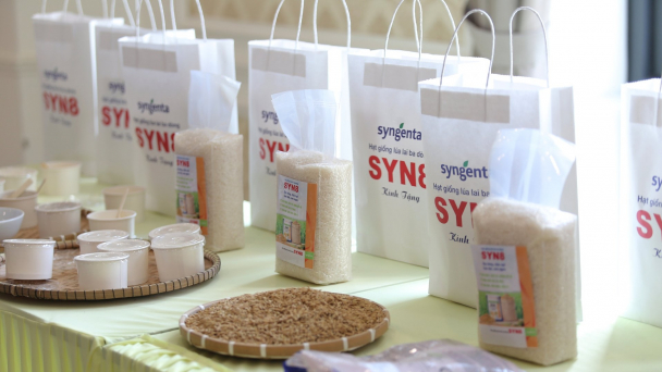 Syngenta Việt Nam trình làng 'siêu phẩm' lúa lai 3 dòng Syn8
