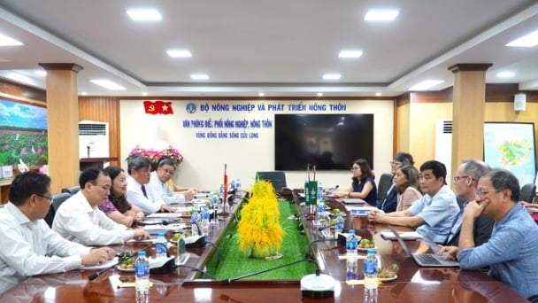 Tổng Giám đốc IRRI: Đề án 1 triệu ha lúa chất lượng cao không còn phạm vi một quốc gia