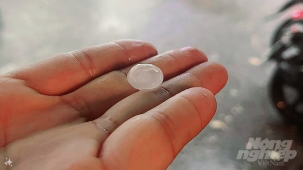 Mưa đá bất ngờ xuất hiện ở trung tâm TP.HCM