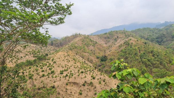 Những trăn trở nơi đại ngàn xanh thẳm: [Bài 2] Mòn mỏi 'ngóng' sổ đỏ