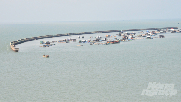 Gỡ khó nuôi biển Kiên Giang: [Bài 4] Kêu gọi đầu tư vẫn vướng rào cản