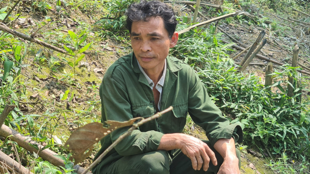 Những trăn trở nơi đại ngàn xanh thẳm: [Bài 4] Nước mắt rơi trên những cánh rừng vàng
