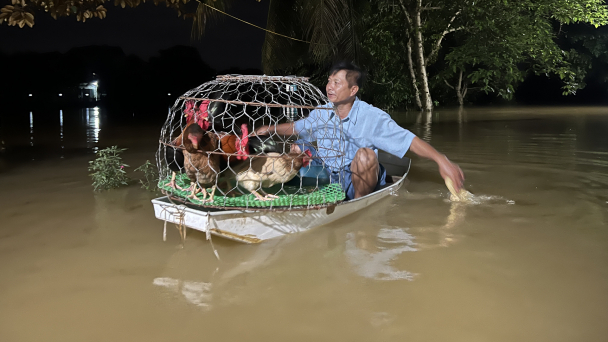 Đê Chương Mỹ bị tràn, vận hành 82 tổ máy tiêu úng chống ngập