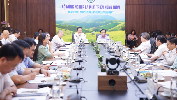 Cần thiết có Hội đồng lúa gạo quốc gia