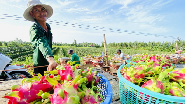 Đào tạo nhân lực ngành nông nghiệp còn nặng lý thuyết