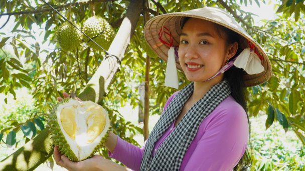 Trung Quốc mở cửa cho sầu riêng đông lạnh: Xuất khẩu sầu riêng có thể đạt 3,5 tỷ USD