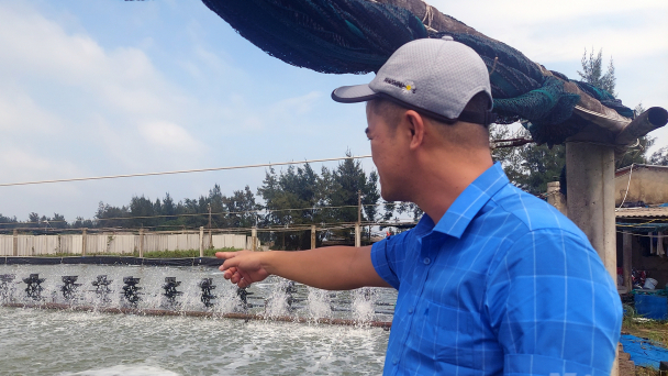 Nuôi tôm công nghệ cao thích ứng biến đổi khí hậu