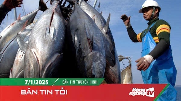 Hỗ trợ ngư dân khai thác hải sản xuyên Tết