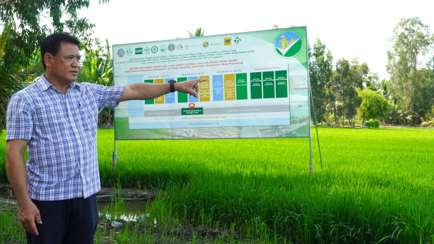Lùm xùm chuyện mua lúa trong mô hình thí điểm Đề án 1 triệu ha