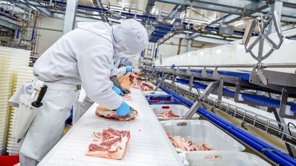 Giao dịch thịt lợn qua sàn sẽ giúp thị trường tự điều chỉnh cung cầu