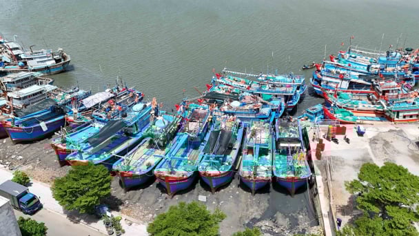 Chuyển biến tích cực trong chống khai thác IUU: [Bài 1] Tuyệt đối không vượt ranh giới