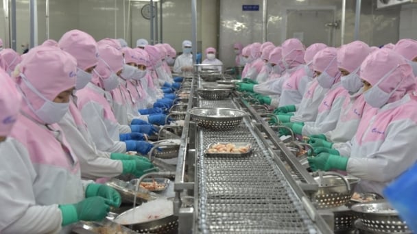 Kiến nghị giảm thuế nhập khẩu về 0% với thủy sản Mỹ