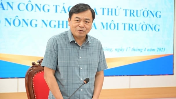 Đắk Nông cần gấp rút giải phóng mặt bằng các dự án thủy lợi