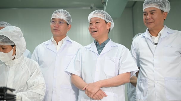 Lan tỏa tin vui kết quả Hội đàm cấp Bộ trưởng về thương mại nông sản Việt - Trung