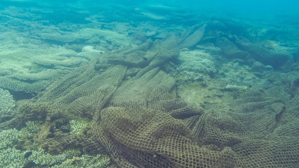 Con Dao drowning in plastic waste: [1] The ocean gasping for air