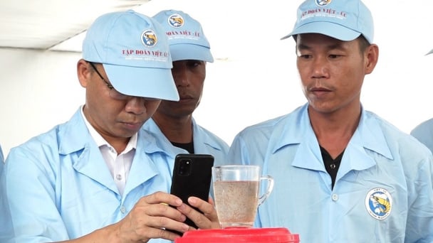 Quảng Ninh xây dựng cơ sở dữ liệu điện tử cho toàn ngành nuôi tôm