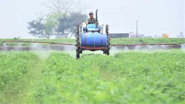Eight decades of transformation on Vietnam's farms
