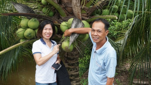 'Số hóa' vùng nguyên liệu ngành dừa nâng giá trị xuất khẩu