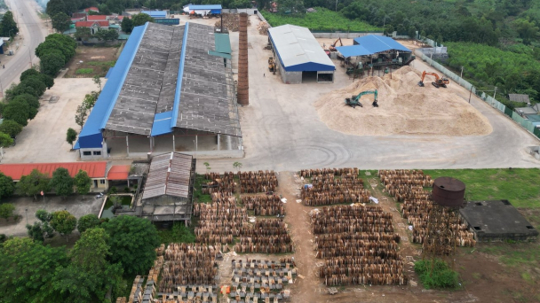 ‘Nội chiến’ vùng keo nguyên liệu: Thanh Hóa ra 'tối hậu thư'