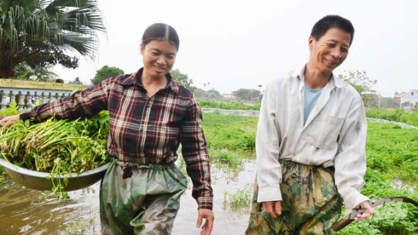 Bố tâm thần, mẹ động kinh, con học sinh giỏi quốc gia
