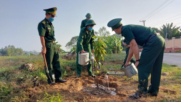 An Giang trồng hơn 5 triệu cây phân tán