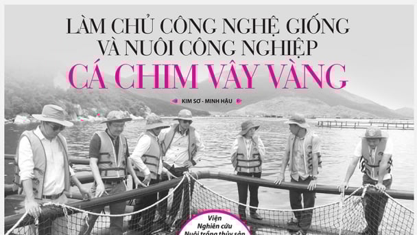 Tin tức báo in số 111, ra ngày hôm nay 6/6/2022