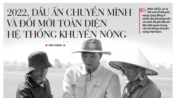 Tin tức báo in số 259, ra ngày hôm nay 29/12/2022