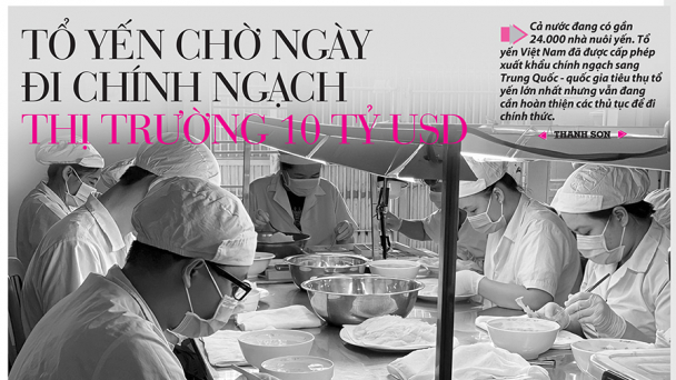 Tin tức báo in số 35, ra ngày hôm nay 17/2/2023