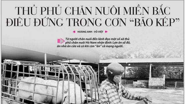 Tin tức báo in số 57, ra ngày hôm nay 21/3/2023