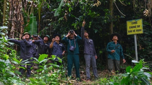 Những 'vành đai' bảo vệ môi trường mang tên cộng đồng