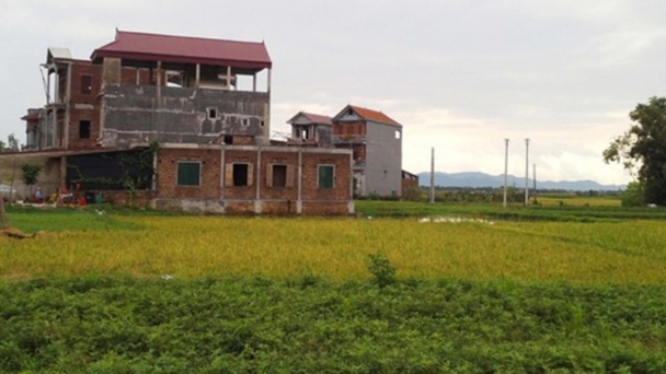 Đất nông nghiệp trong dòng chảy thị trường bất động sản