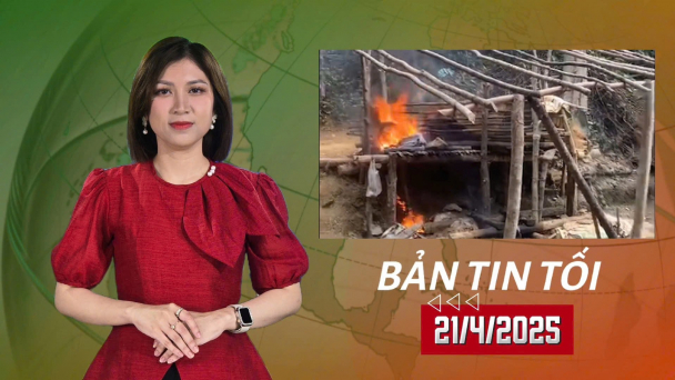 Phát hiện nhiều hầm khai thác vàng trái phép trong rừng đặc dụng