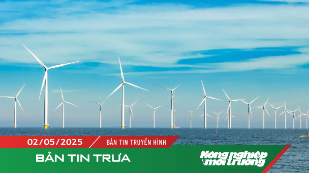 Năm 2030 sẽ đạt 6–10 GW điện gió ngoài khơi