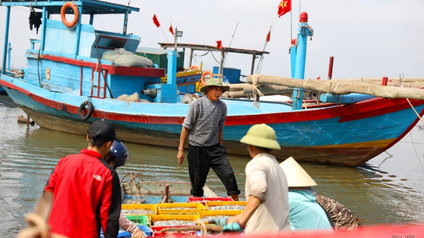 Dự báo nguy cơ hình thành áp thấp nhiệt đới trên biển