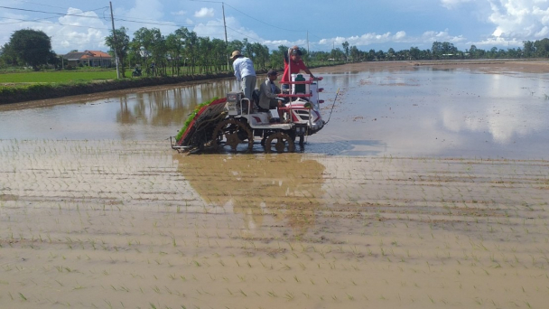 Khai thác hiệu quả vùng đất mặn